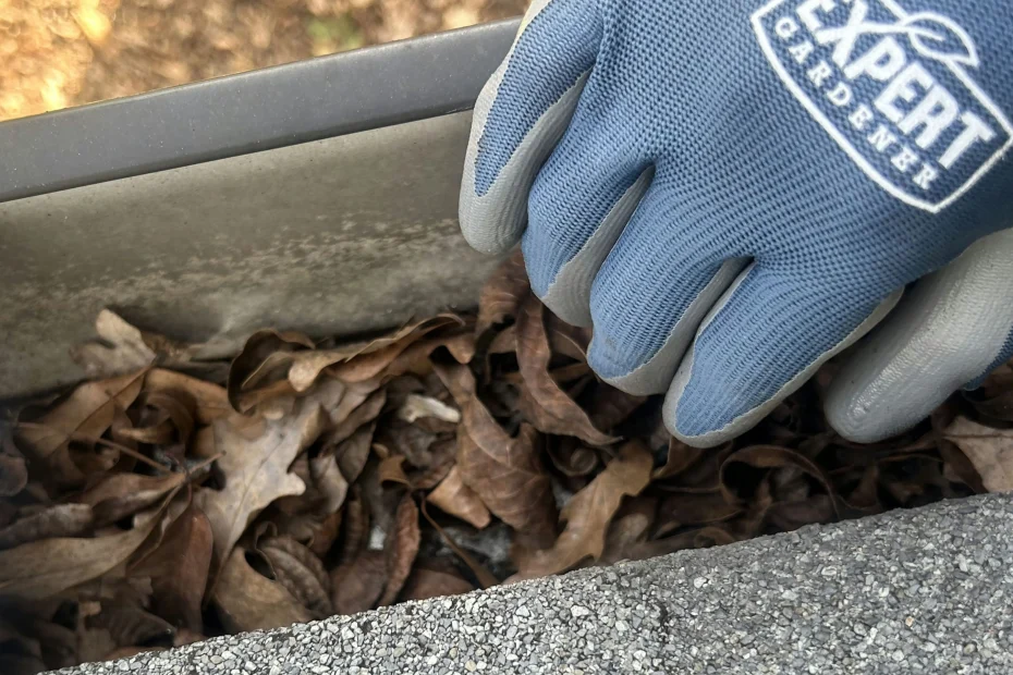 Lakeway Gutter Cleaning