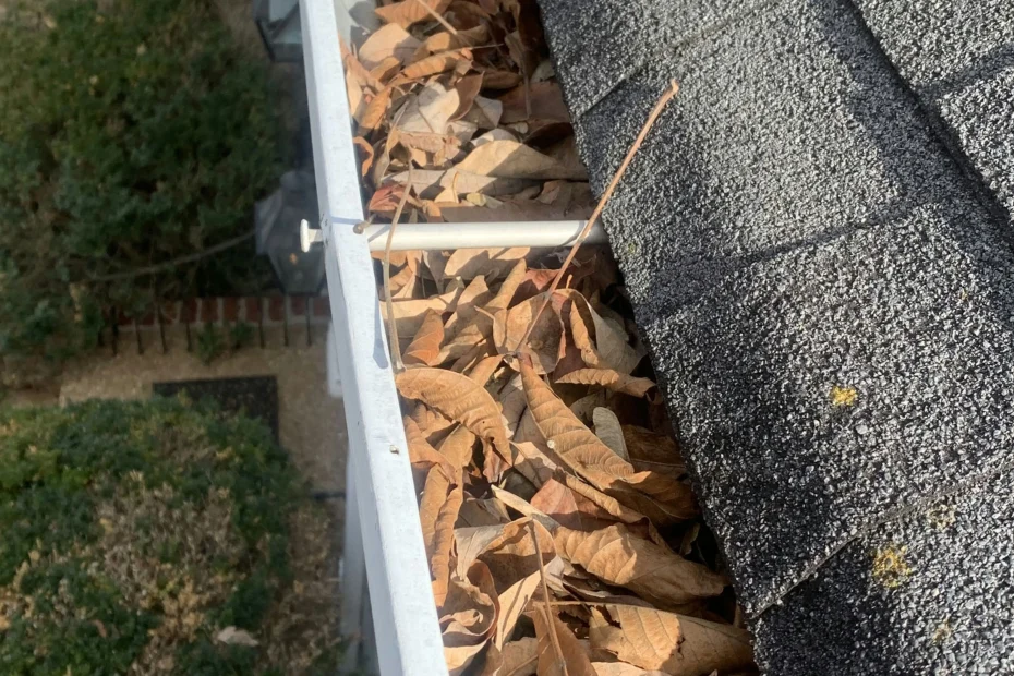 Lakeway Gutter Cleaning