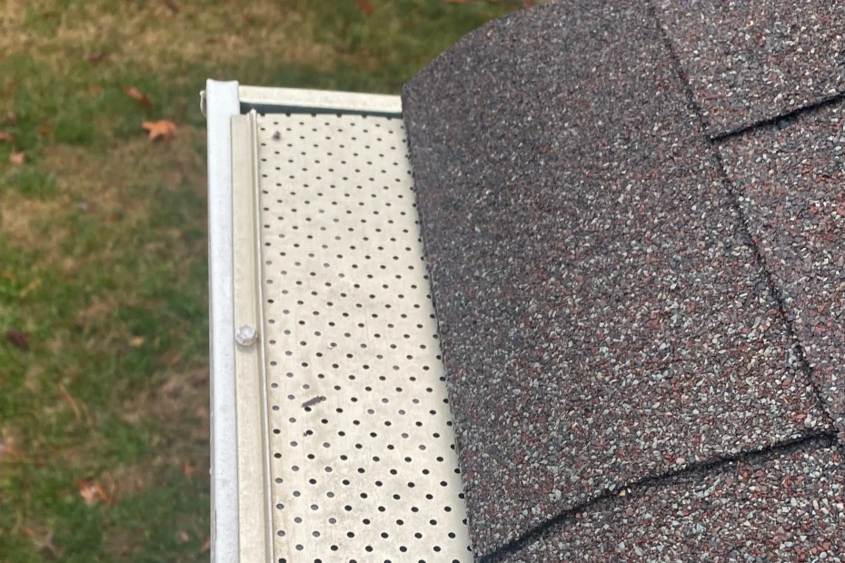 Lakeway Gutter Cleaning